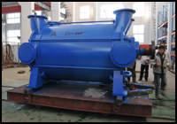 Liquid Ring Vacuum Pump