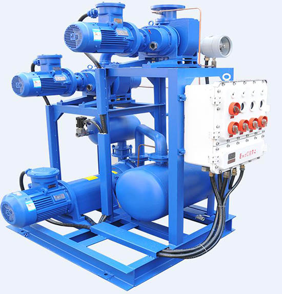 Roots-liquid ring vacuum pump system.jpg