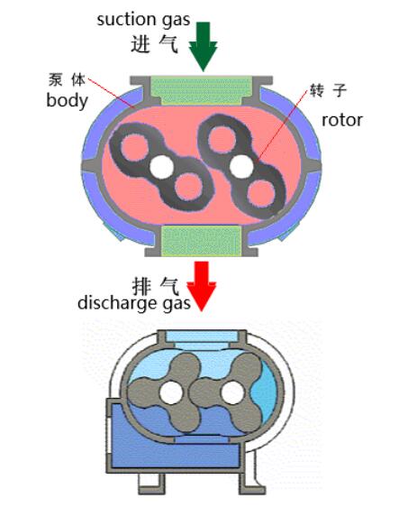 Schematic diagram of the working principle of Roots blower.jpg