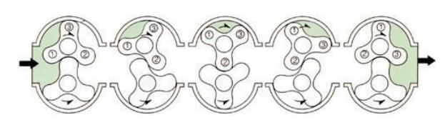 Diagram of working principle of roots blower with three lobes.jpg