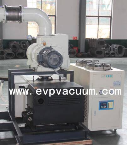 Roots Rotary Vane Vacuum System.jpg